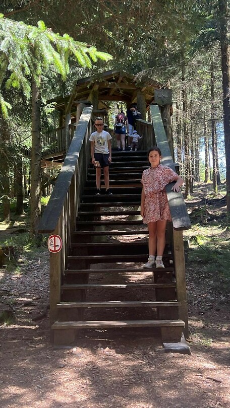Baumkronenweg_2