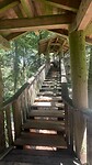 Baumkronenweg_3