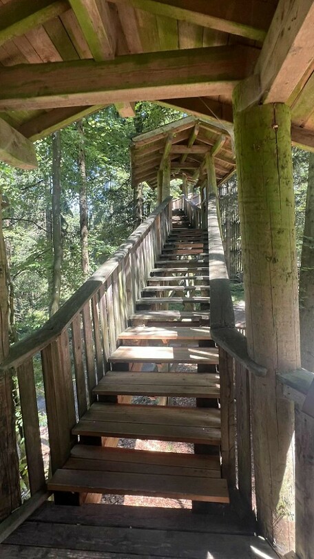 Baumkronenweg_3