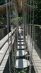 Baumkronenweg_8