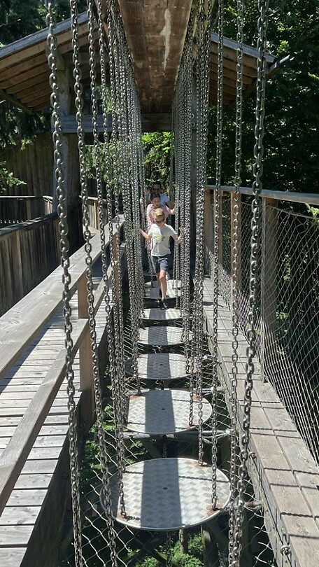 Baumkronenweg_8