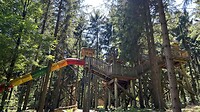 Baumkronenweg_17