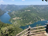 Tara_15