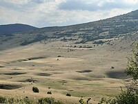 Una_1