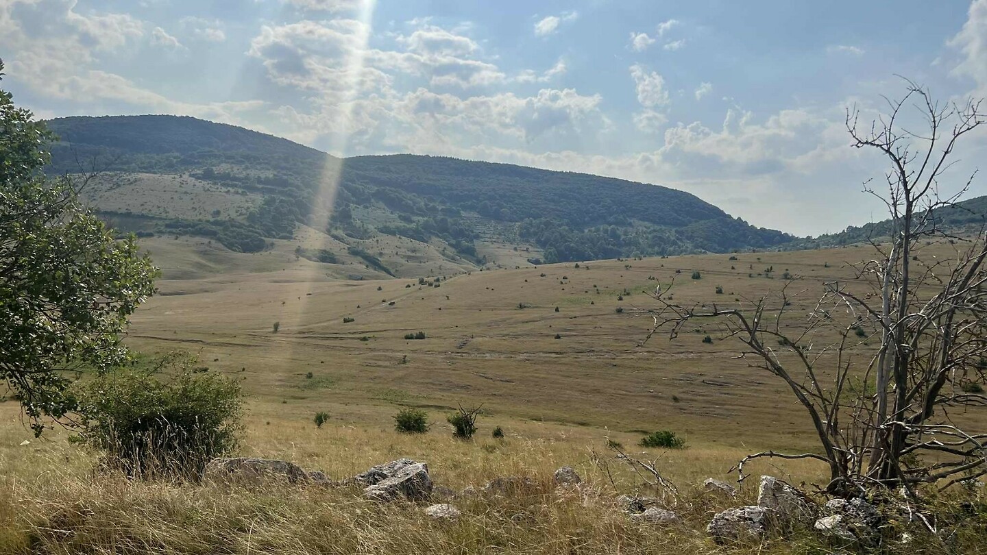 Una_3