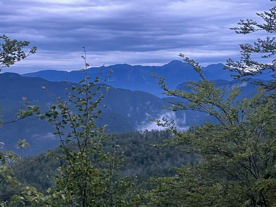 Bled_5