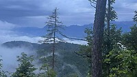 Bled_15