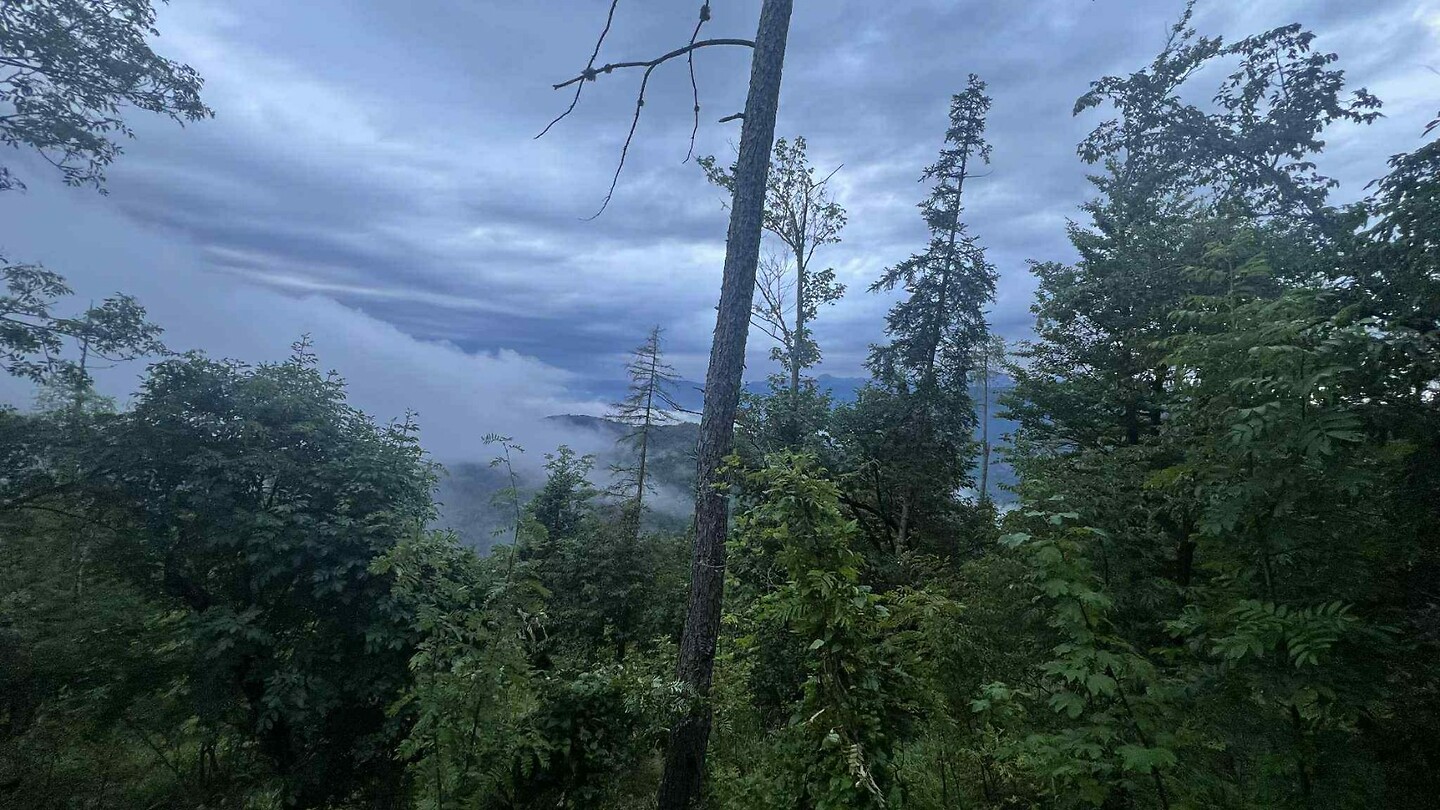 Bled_20