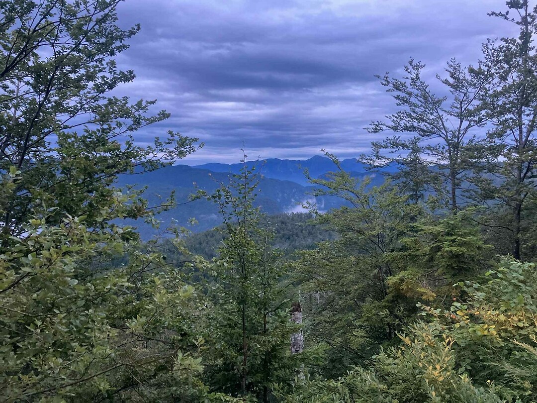 Bled_21