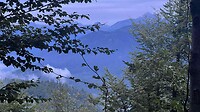 Bled_29
