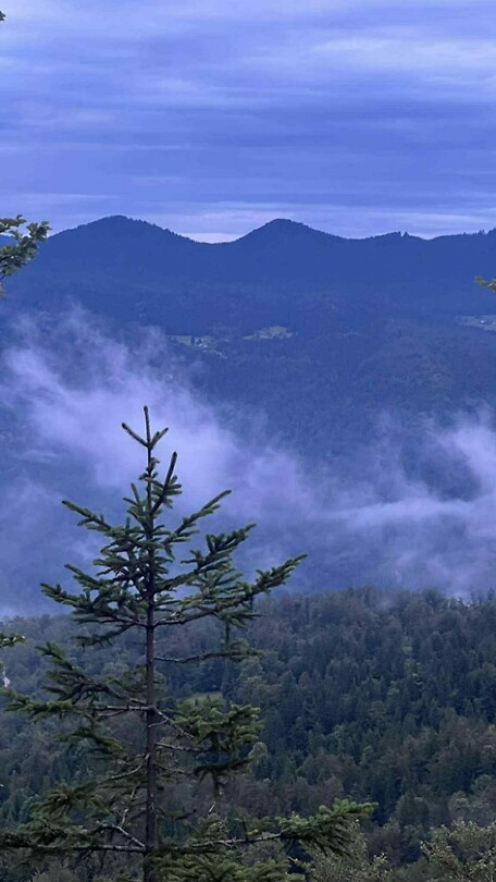 Bled_31