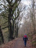 Hinsbeck
