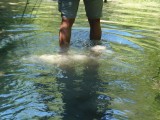 Soms is er geen pad meer