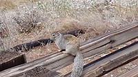 20180318_132055