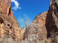20180318_131613