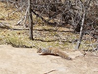 20180318_140701