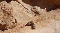 20180318_140425