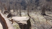 20180318_140628