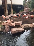 IMG-20180327-WA0025