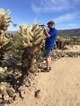 Joshua Tree Park