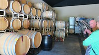 Dunning Vineyard