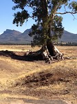 Flinders Ranges
