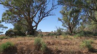 Flinders Ranges