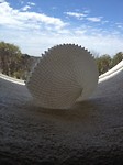 argonaut
