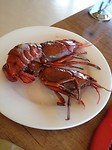 marron lunch