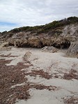 the beach
