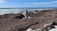 at the beach