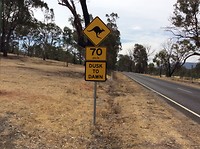 long, long, road