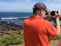 at Port Fairy