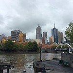Yarrah river banks