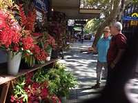 oz flowers