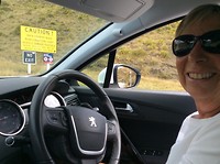 driver Paulette