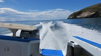 fishing trip
