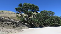 Otama Beach