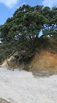 Otama Beach