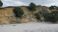 Otama Beach