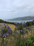 MacAndrew Bay