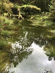 Spiegelend meer