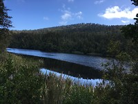 Lake Matheson
