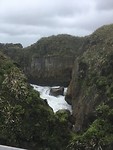 Blowhole