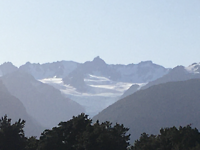 Fox Glacier