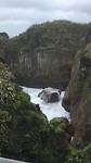 Blowhole