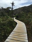 Board walk