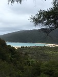 Tasman Sea