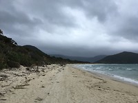 Tasman zee en strand