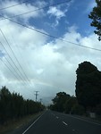 Regenboog